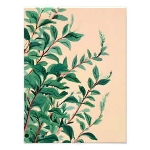 Foto Tranquilidade Sereníssima: Uma Aquarela Botânica