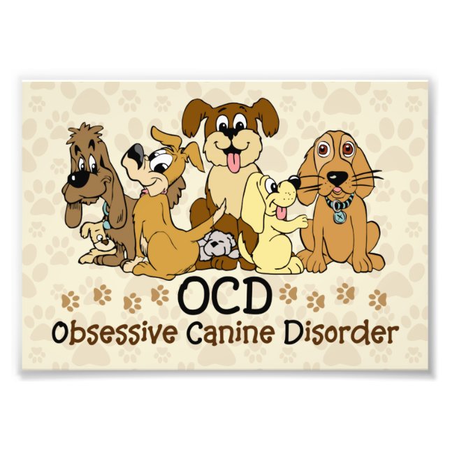 Foto Transtorno Canino Obsessivo de OCD (Frente)