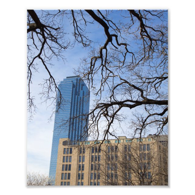 Foto Tree and Tall Building, Dallas, Texas (Frente)