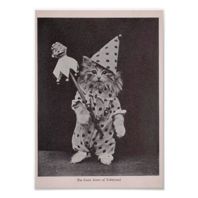 Foto Tribunal de Justiça de Tabbyland (Frente)