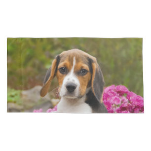 Foto Tricolor bonito do filhote de cachorro do cã