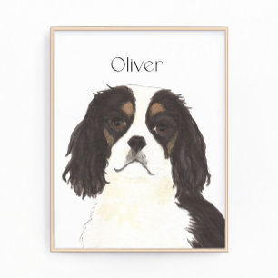 Foto Tricolor Cavalier King Charles Spaniel