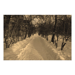 Foto Trilha de neve com árvores na sepia
