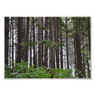 Foto Trilha de praia do segundo La Push 5X7