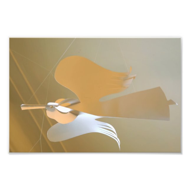 Foto Trompetes de anjo (Frente)