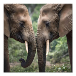 Foto "Tronco para Tronco: Um Gentil Embrace Elefante"