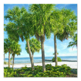 Foto Tropical Palm Garden Wall Art Coastal Decor