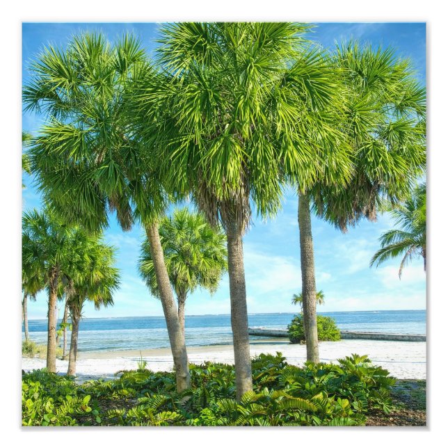 Foto Tropical Palm Garden Wall Art Coastal Decor (Frente)