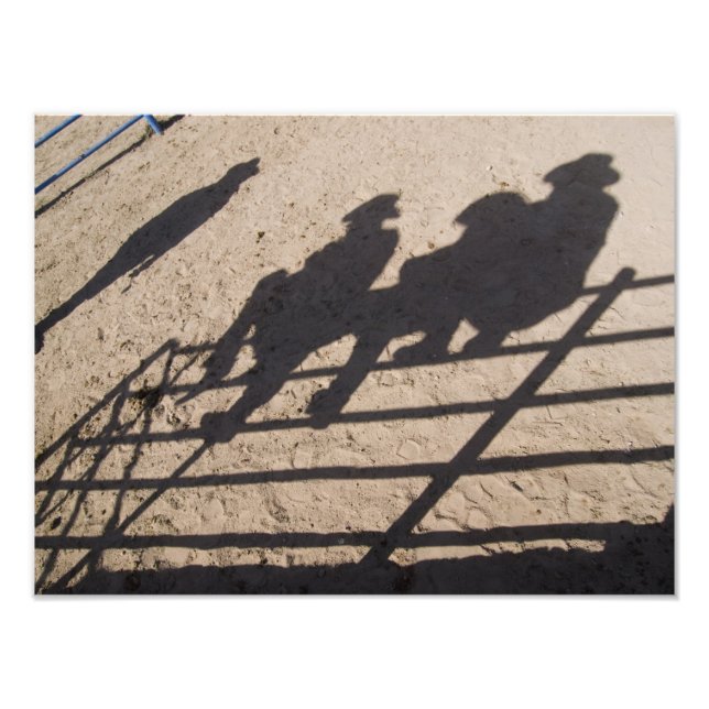 Foto Tucson, Arizona: Sombras de competidores de Rodeio (Frente)