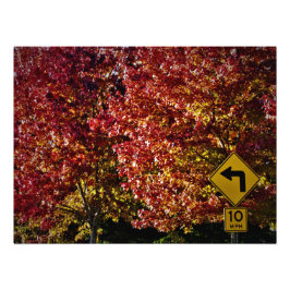 Foto "Tudo Bem Então"