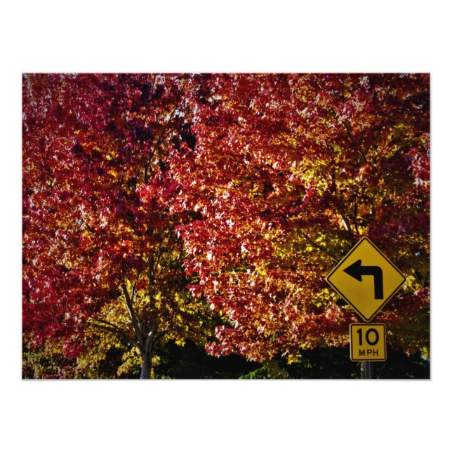 Foto "Tudo Bem Então" (Frente)