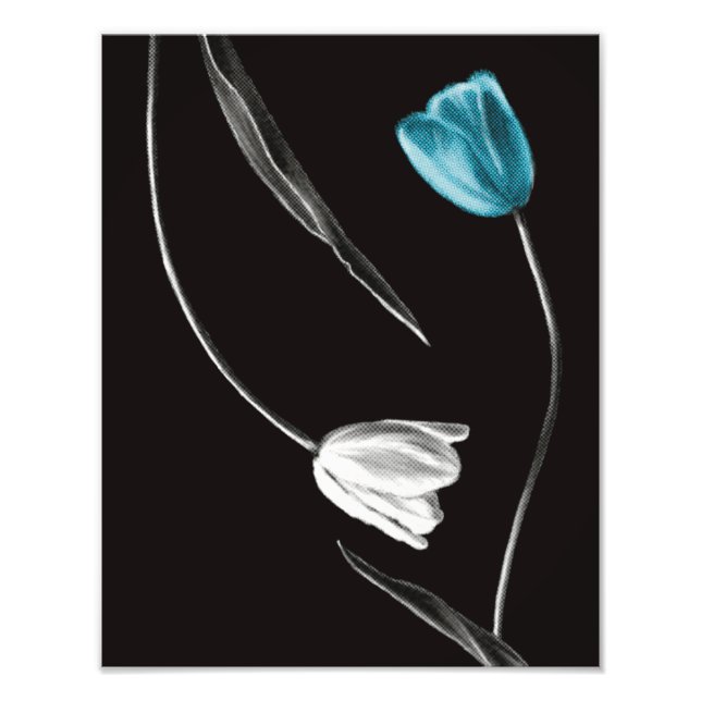 Foto Tulipa Minimalista Flor (Frente)