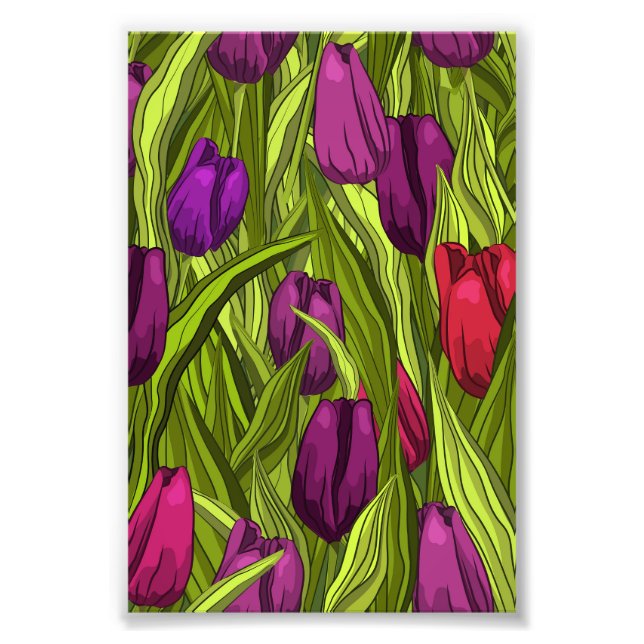 Foto Tulipas (Frente)