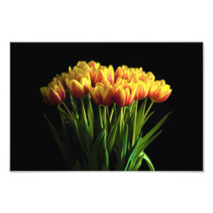 Foto Tulipas no Vaso da Flor