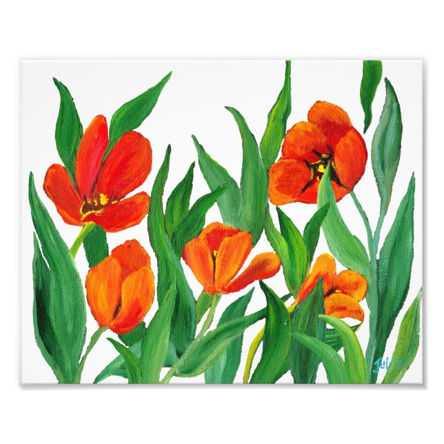Foto Tulipas Vermelhas (Frente)