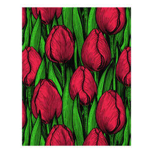 Foto Tulipas vermelhas