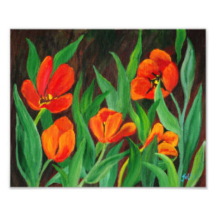 Foto Tulipas vermelhas