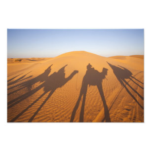 Foto Tunísia, Área Ksour, Ksar Ghilane, Grand Erg 5