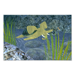 Foto Turfão de Nadação