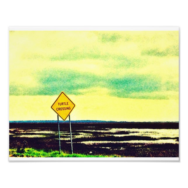 Foto Turtle Crossing (Frente)
