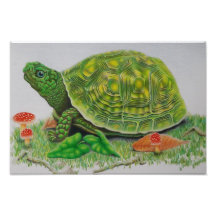 "Turtle Love", poster original de Baylen Parada (b