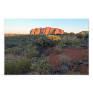 Foto Uluru Sunrise e Flora do Deserto