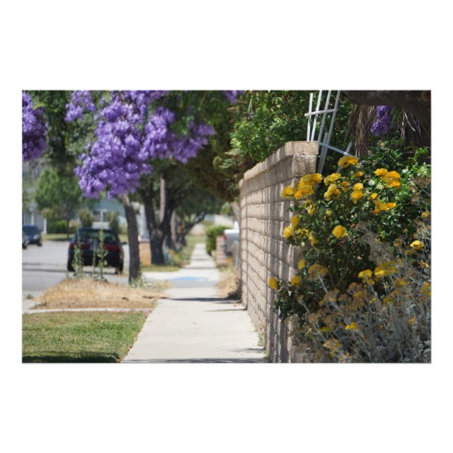 Foto Um caminho (Frente)