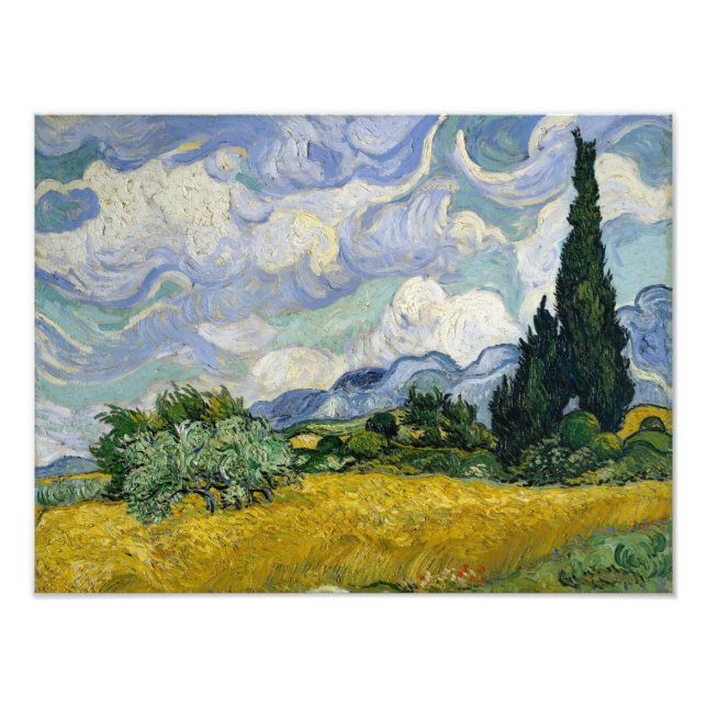 Foto Um campo de rodas com Cypress Van Gogh (Frente)