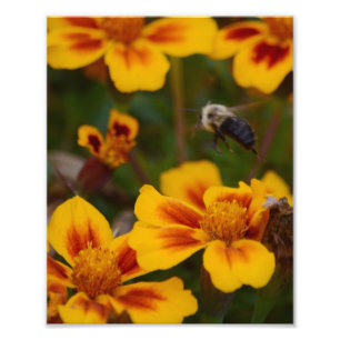 Foto Um outono Afernoon no jardim