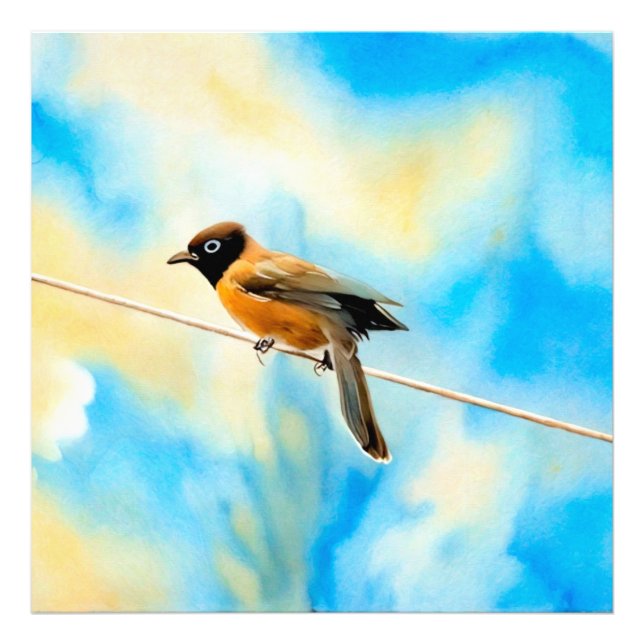 Foto Um pássaro solitário colorido (Frente)