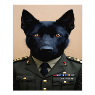 Foto Um Pastor Alemão preto em uniforme militar