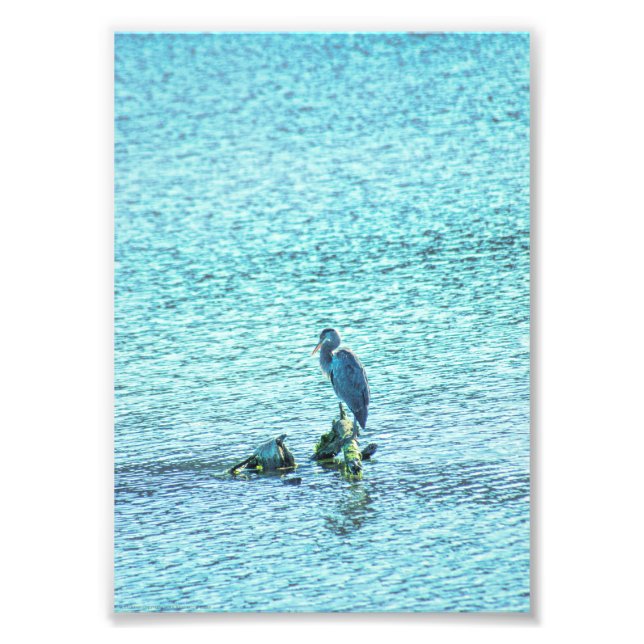 Foto Um Pensador (Frente)