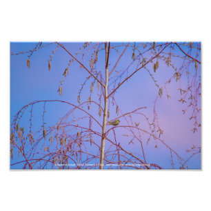 Foto Um Segredo ao Sunset