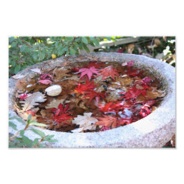 Foto Um serviço do outono