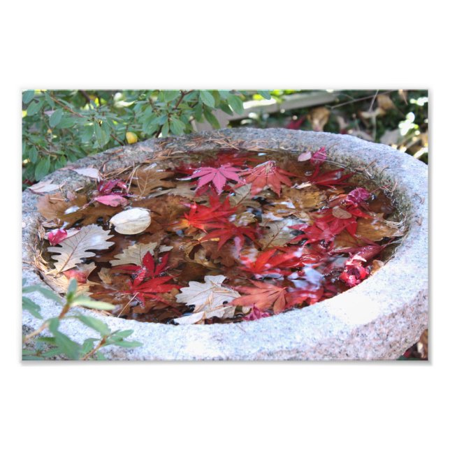 Foto Um serviço do outono (Frente)