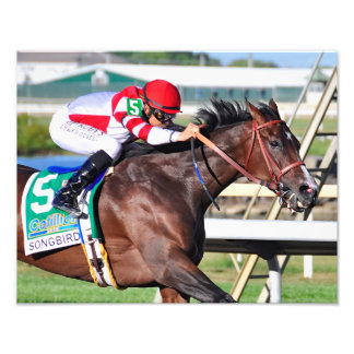 Foto Uma canção perfeita