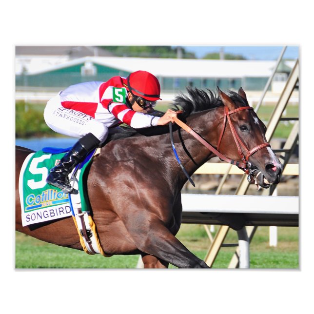 Foto Uma canção perfeita (Frente)