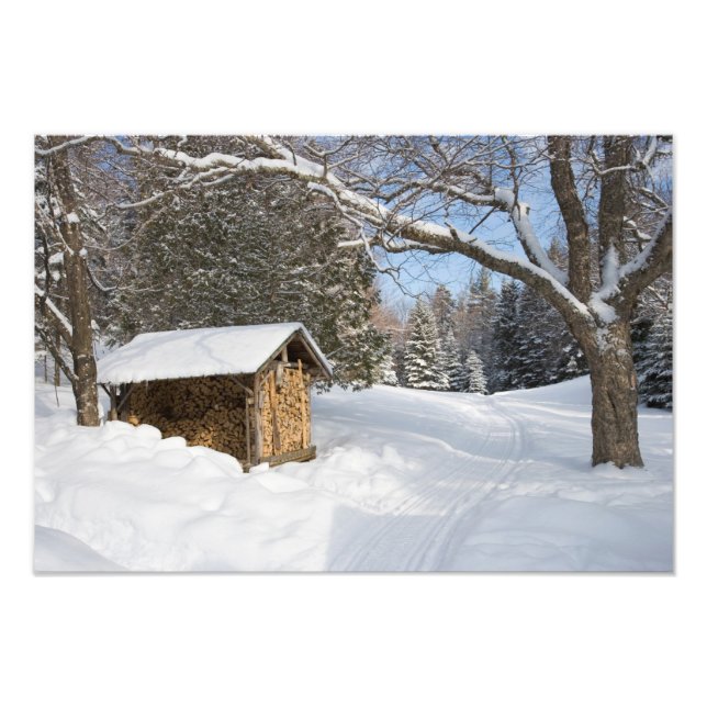 Foto Uma cena de neve no pequeno Lyford Pond da AMC (Frente)
