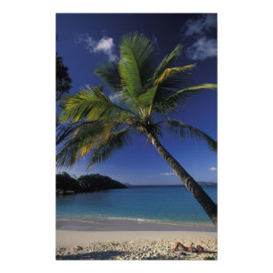 Foto Uma das melhores praias do mundo; Trunk Bay em