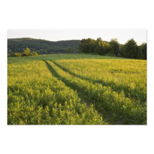 Foto Uma estrada de fazenda em Sabins Pasture em Montpe