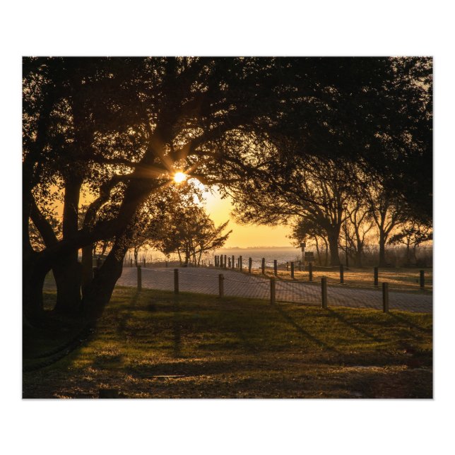 Foto Uma Noite Em Whalehead (Frente)