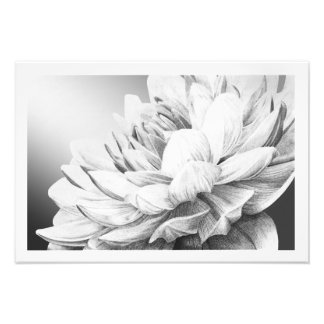 Foto Uma rajada de Primavera (com borda)