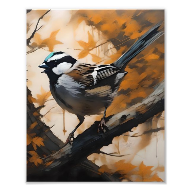 Foto Uma Serenada Robin na Canopia, (Frente)