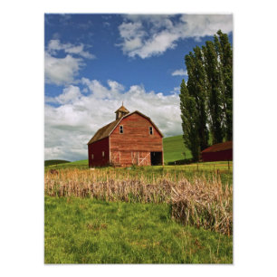 Foto Uma viagem pelo interior agrícola de Palouse