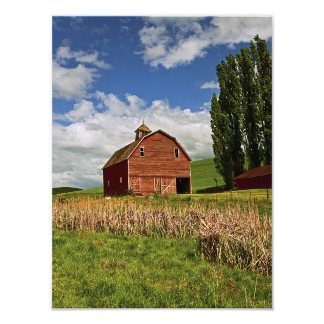 Foto Uma viagem pelo interior agrícola de Palouse (Frente)