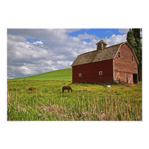 Foto Uma viagem pelo interior agrícola de Palouse 3