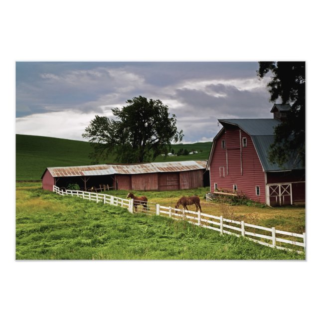 Foto Uma viagem pelo interior rural de Palouse 4 (Frente)