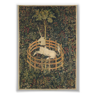 Foto Unicórnio em cativeiro