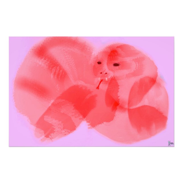 FOTO UNION OF THE SNAKE (Frente)