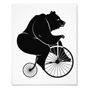 Foto Urso a Andar por uma Bicicleta de Pernalonga da Pe